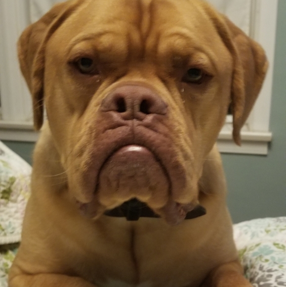 Meet your Posher, Erica - Picture 7 of 9